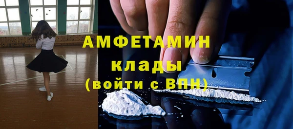 индика Вязники