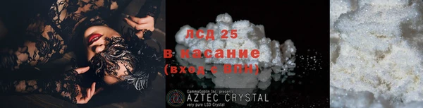 индика Вязники