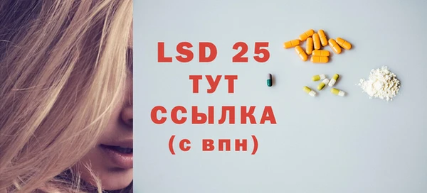 индика Вязники