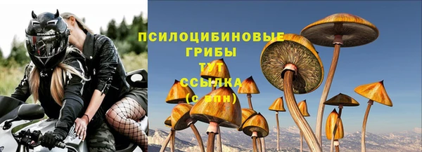 mix Козельск