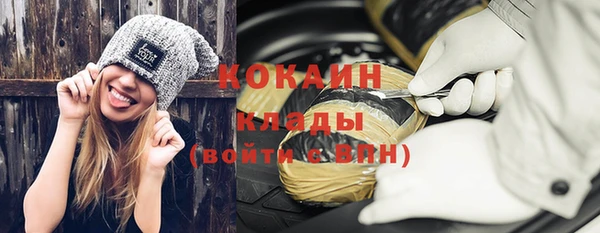 индика Вязники