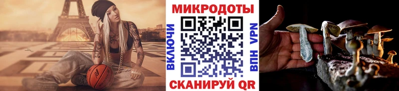 Псилоцибиновые грибы ЛСД  даркнет сайт  Избербаш 